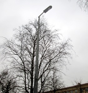 img_0607.jpg