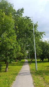 20170817_114035.jpg