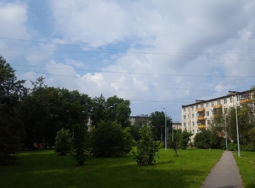 20170817_114144.jpg