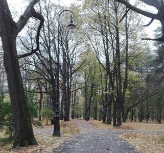 detskiy-sektor-1.jpg