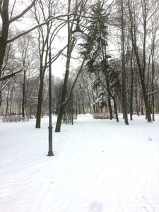 tihiy-otdyh7.jpg
