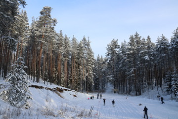 img_1336.jpg