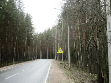 repino1.jpg