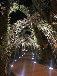 img-20180517-wa0002.jpg
