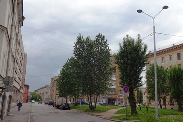 dsc07703.jpg