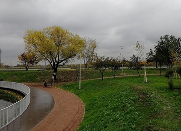 img_20191009_121654.jpg