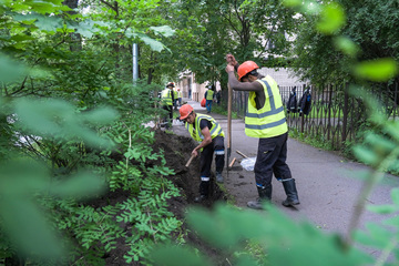 dscf1184.jpg