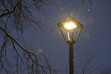 dscf2037.jpg